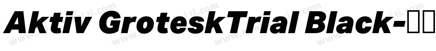 Aktiv GroteskTrial Black字体转换